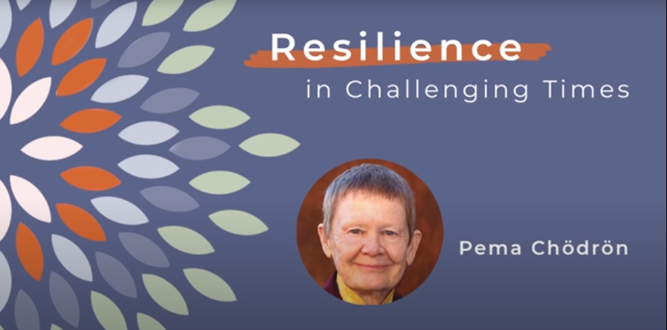 Resilience and Self-Compassion – with Pema Chödrön